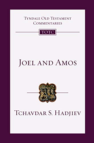 Joel and Amos: An Introduction and Commentary (Tyndale Old Testament Commentaries, 25) von IVP Academic