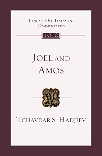 Joel and Amos: An Introduction And Commentary (Tyndale Old Testament Commentary) von IVP