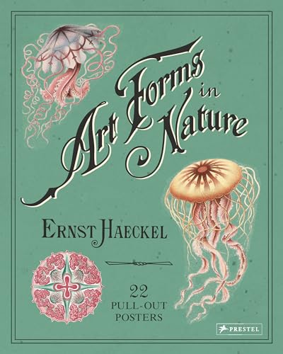 Art Forms in Nature: 22 Pull-Out Posters