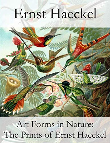 Art Forms in Nature: The Prints of Ernst Haeckel