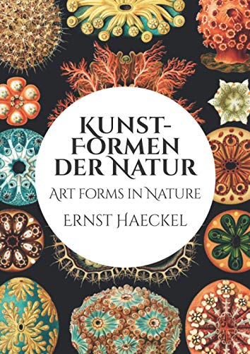 Kunst-Formen der Natur: Art Forms in Nature von Independently published