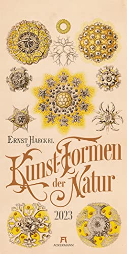 Kunst-Formen der Natur - Ernst Haeckel Kalender 2023, Wandkalender im Hochformat (33x66 cm), Naturkundliche Illustrationen, Vintagekalender
