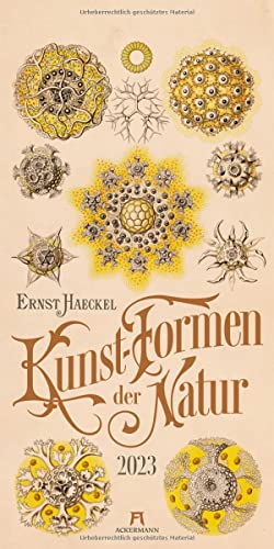 Kunst-Formen der Natur - Ernst Haeckel Kalender 2023, Wandkalender im Hochformat (33x66 cm), Naturkundliche Illustrationen, Vintagekalender