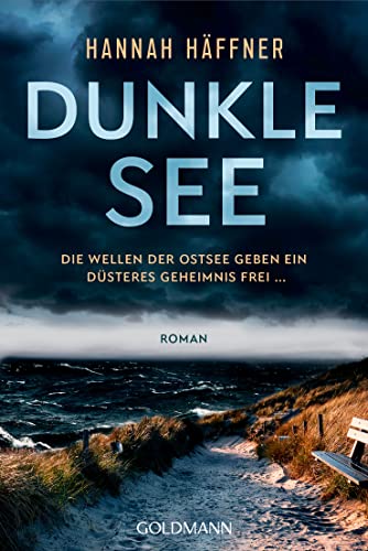 Dunkle See: Roman