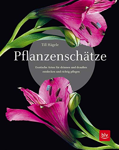 Pflanzenschätze: Exotische Arten für drinnen und draußen entdecken und richtig pflegen (BLV Pflanzenpraxis)