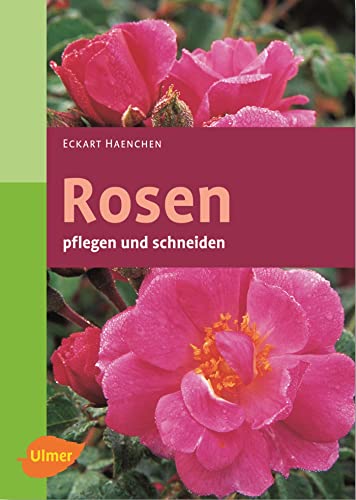 Rosen pflegen und schneiden (Garten-Ratgeber)