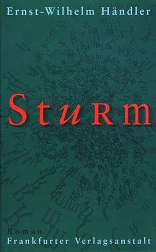 Sturm: Roman