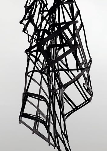 Monika Sosnowska: Fatigue