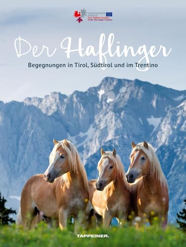 Der Haflinger: Begegnungen in Tirol, Südtirol und im Trentino von Athesia Tappeiner Verlag