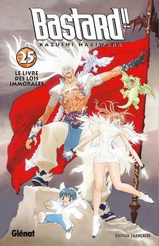 Bastard !! - Tome 25: Le livre des lois immorales