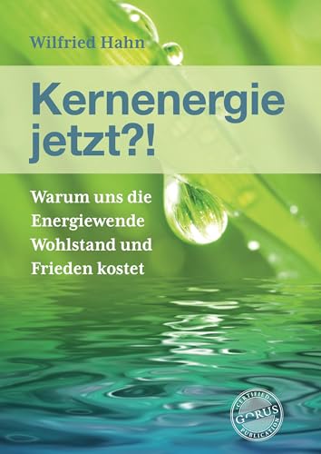 Kernenergie jetzt?!: Warum uns die Energiewende Wohlstand und Frieden kostet