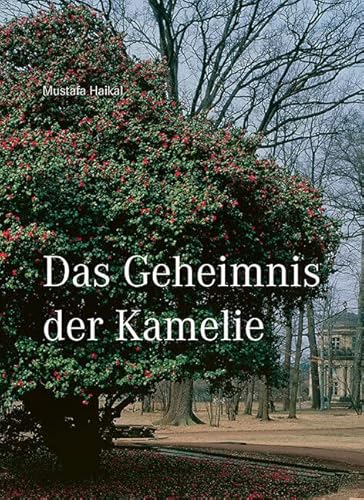 Das Geheimnis der Kamelie von Sandstein Kommunikation