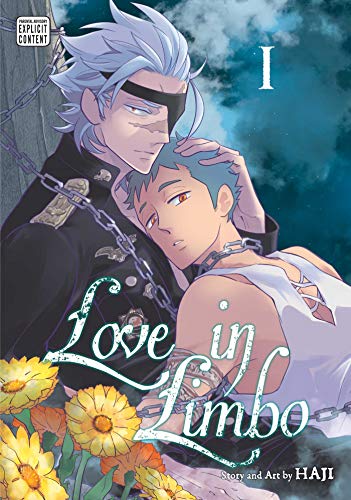 Love in Limbo, Vol. 1: Volume 1 (LOVE IN LIMBO GN, Band 1)