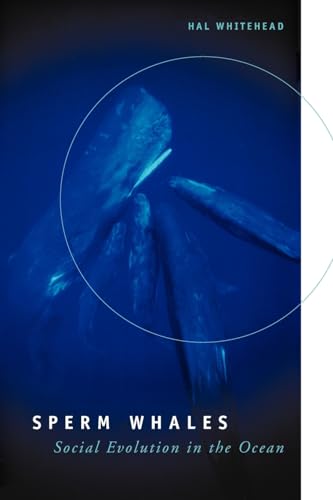 Sperm Whales: Social Evolution in the Ocean von University of Chicago Press