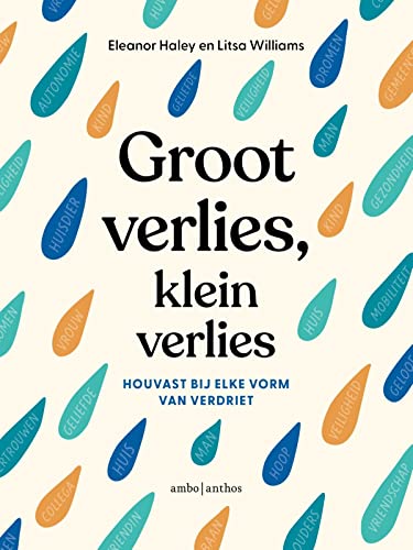 Groot verlies, klein verlies: houvast bij elke vorm van verdriet