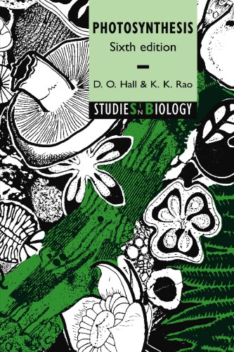 Photosynthesis (Studies in Biology)