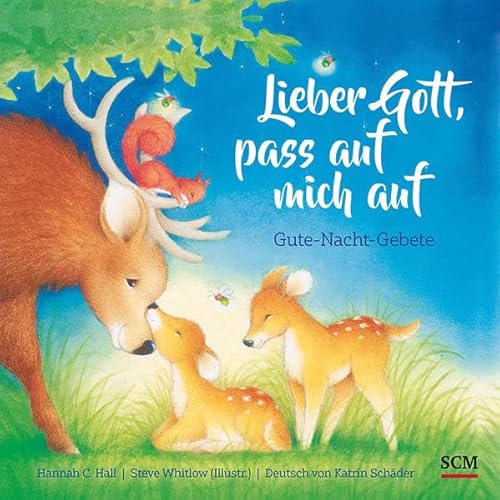 Lieber Gott, pass auf mich auf: Gute-Nacht-Gebete (Bilderbücher für 3- bis 6-Jährige) von R.Brockhaus