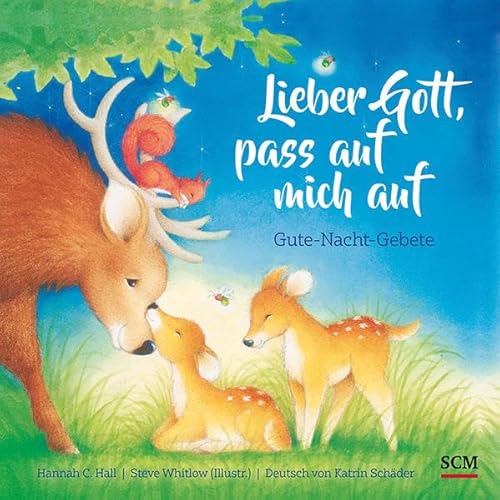 Lieber Gott, pass auf mich auf: Gute-Nacht-Gebete (Bilderbücher für 3- bis 6-Jährige) von SCM R.Brockhaus