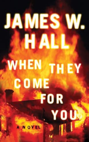 When They Come for You (Harper McDaniel, Band 1)