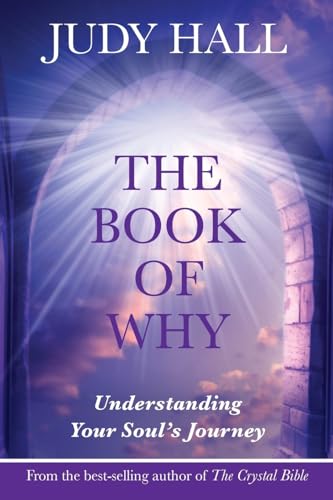 The Book of Why: Understanding Your Soul's Journey The Book of Why: Understanding Your Soul's Journey von Flying Horse Books