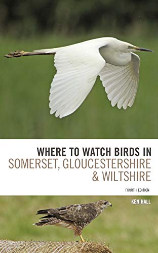 Where To Watch Birds in Somerset, Gloucestershire and Wiltshire von Bloomsbury