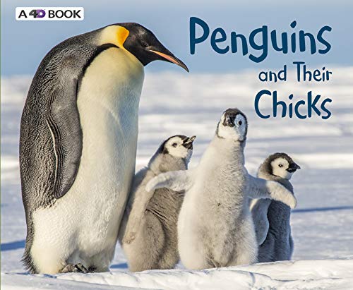 Penguins and Their Chicks (Animal Offspring)
