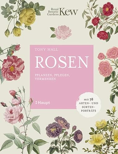 Rosen: pflanzen, pflegen, vermehren - mit 78 Arten- und Sortenporträts von Haupt Verlag AG