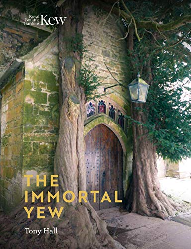 The Immortal Yew von Royal Botanic Gardens Kew
