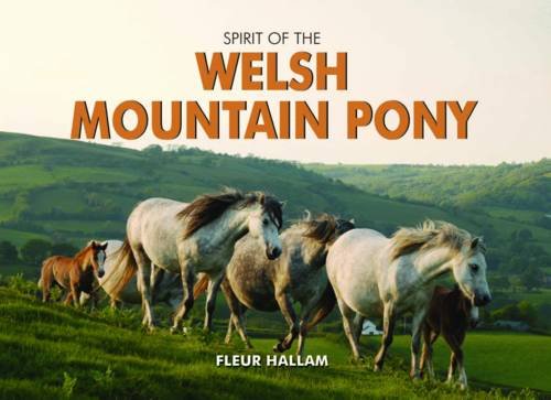 Spirit of the Welsh Mountain Pony (Spirit of Britain) von PiXZ Books