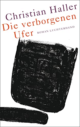 Die verborgenen Ufer: Roman