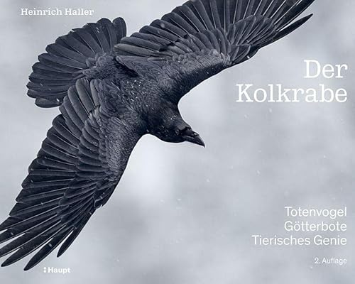Der Kolkrabe – Totenvogel, Götterbote, tierisches Genie von Haupt Verlag AG