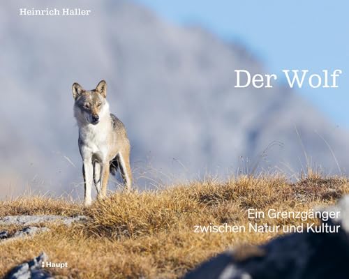 Der Wolf: Ein Grenzgänger zwischen Natur und Kultur von Haupt Verlag AG