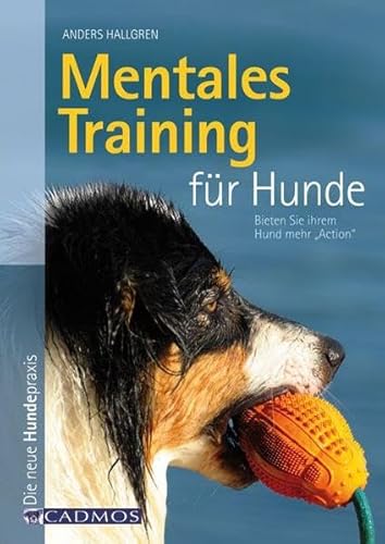 Mentales Training für Hunde: Bieten Sie ihrem Hund mehr 'Action'