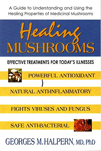 Healing Mushrooms: Effective Treatments for Today's Illnesses