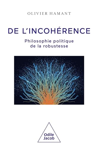 De l'incohérence: Philosophie politique de la robustesse