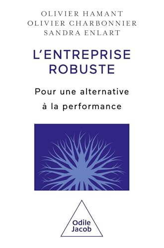 L'Entreprise robuste: Pour une alternative à la performance