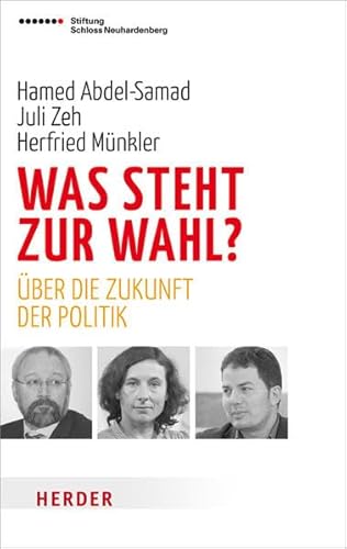 Was steht zur Wahl?: Über die Zukunft der Politik