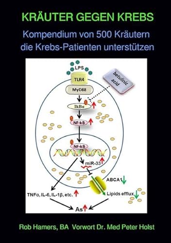 KRÄUTER GEGEN KREBS: Kompendium von 500 Kräutern die Krebs-Patienten unterstützen