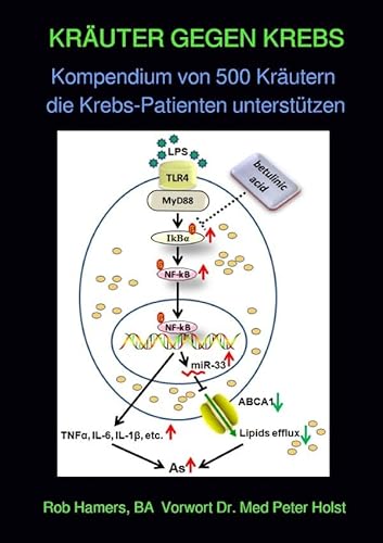 KRÄUTER GEGEN KREBS: Kompendium von 500 Kräutern die Krebs-Patienten unterstützen