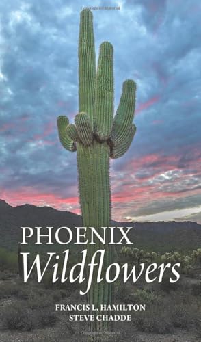 Phoenix Wildflowers: A Field Guide to the Common Shrubs, Herbs, Cacti and Ferns of the Phoenix Region von Pathfinder Books