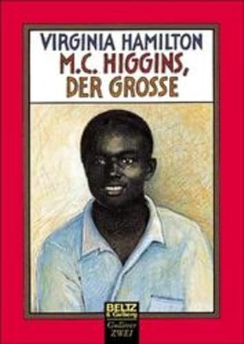 M. C. Higgins, der Grosse: Roman (Gulliver zwei)