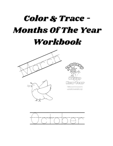 Color & Trace - Months Of The Year Workbook von Independently published