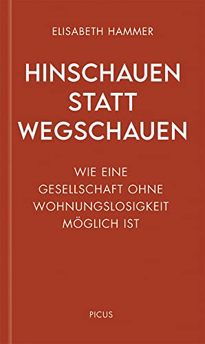 Hinschauen statt wegschauen: Wie eine Gesellschaft ohne Wohnungslosigkeit möglich ist (Wiener Vorlesungen) von Picus Verlag