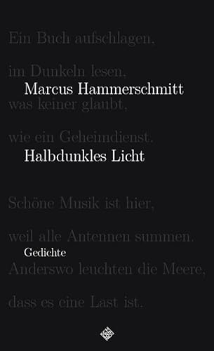 Halbdunkles Licht von Schiler & Mücke