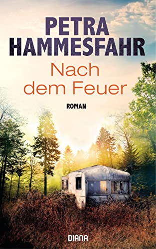 Nach dem Feuer: Roman Nach dem Feuer: Roman