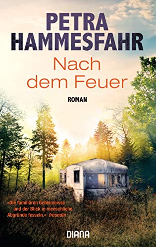 Nach dem Feuer: Roman von DIANA VERLAG