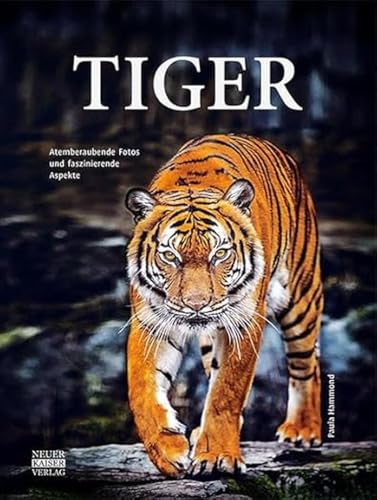 Tiger: Atemberaubende Fotos und faszinierende Aspekte von Neuer Kaiser