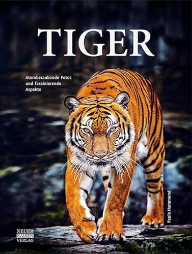 Tiger: Atemberaubende Fotos und faszinierende Aspekte