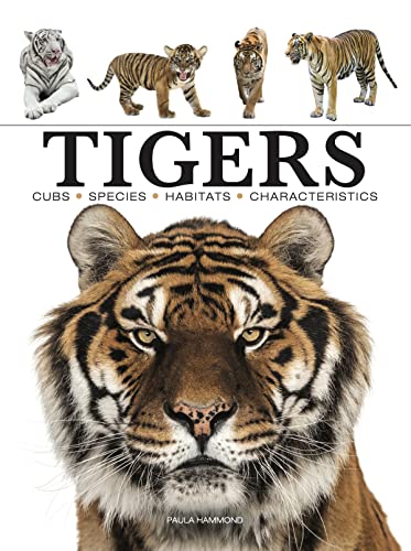 Tigers (Mini Encyclopedia) von Amber Books Ltd
