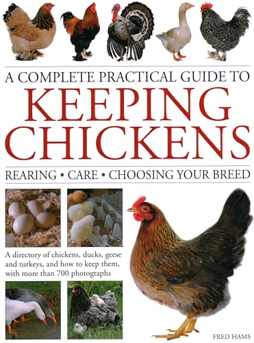 A Complete Practical Guide to Keeping Chickens: Rearing Care Choosing Your Breed von Lorenz Books